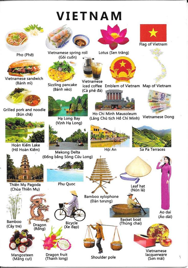 Ẩm thực Vn